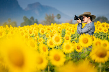 Asian man tourist and photographer holding DSLR camera taking photo of full bloom yellow sunflower field in Lopburi, Thailand. Summer season travel concept