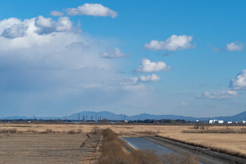 冬の渡良瀬遊水地2