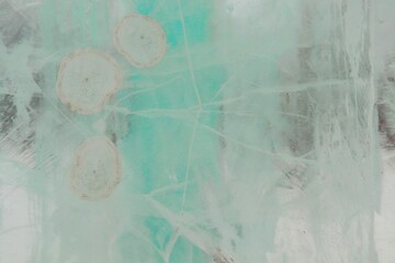 Sea water ice texture with frozen jellyfish