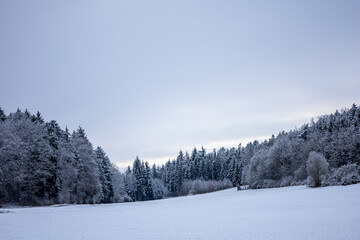Fototapeta na wymiar Winterlandschaft mit Schnee Wolken am Himmel 