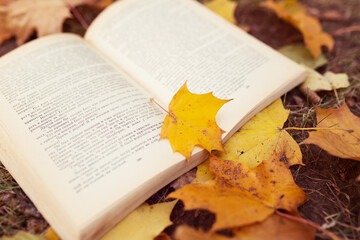 Naklejka na ściany i meble book with autumn leaves