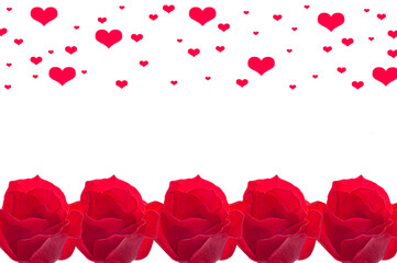 Valentine's Day. Beautiful background with red bright roses with red hearts on white isolated background