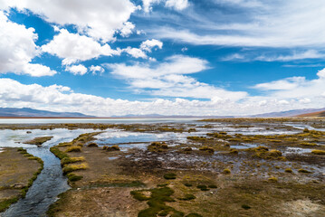 Fototapeta na wymiar Laguna de aguas termales en altiplano Bolivia