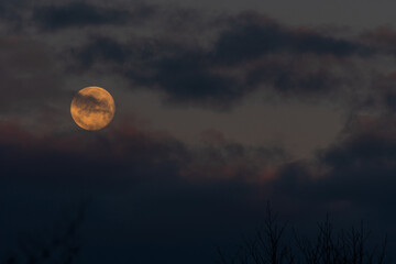 Naklejka na ściany i meble a full moon in the December sky just before sunrise over the Baltic Bay