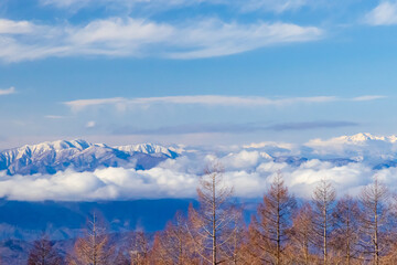 Obraz na płótnie Canvas 冬の朝の蓼科の雪山と雲海