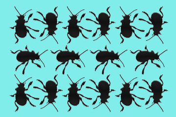 Danza di coleotteri neri con sfondo azzurro