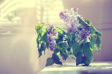 Lilac bouquet in vase on table with sunlight