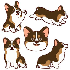 Outlined sable colored Corgi illustrations set