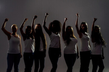 Silhouetted group of diverse women raised their arms, fists while standing over grey background. Diversity, womens rights concept