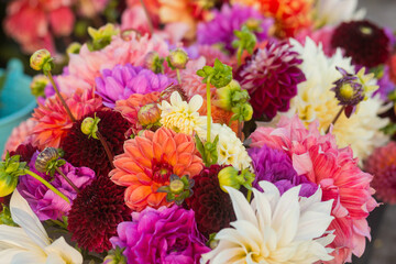verschillende Dhalia bloemen in 1 groot boeket