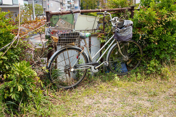 Fototapeta na wymiar 空き地に放置された古い自転車