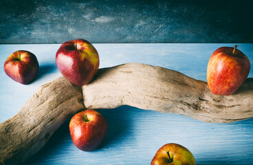 red apples and an old branch on a blue plane and dark background