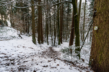 Hike through the snowy ravine near Schmalegg