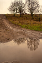 A muddy puddle and a dirt road at a moor. Picture from Revingehed, Scania county, Sweden