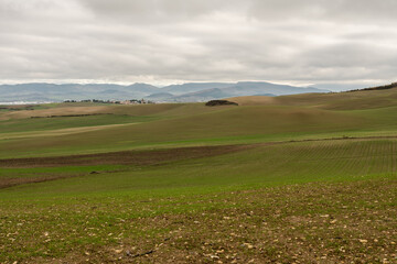 Fototapeta na wymiar Paesaggio visto da un sentiero del cammino di santiago della campagna, durante una giornata nuvolosa