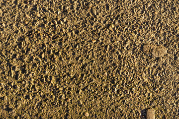 fortuna gold concrete paving pattern