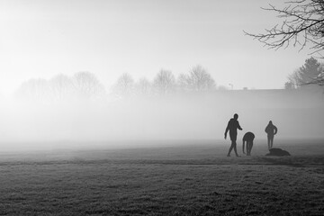 Silhouettes of people exercising on a foggy field.