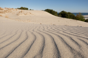 Fototapeta na wymiar Pattern of the dunes in Capo Comino, sardinia