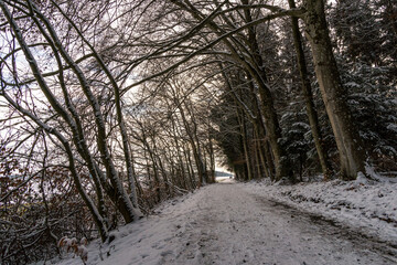 Hike through the snowy ravine near Schmalegg