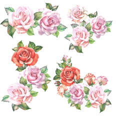 set of  roses bouquets.watercolor flowers