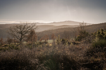 Paesaggio naturale la mattina, lungo il cammino di santiago