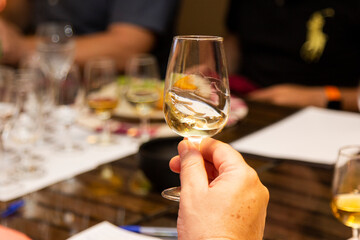 Male hand holding glass of white wine