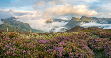 Atmospheric autumnal morning on Lingmoor Fell in the Lake District, with mist and fog