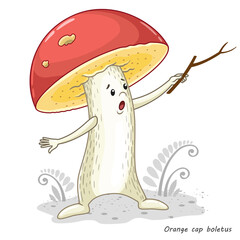 Vector Mushrooms isolated on white. Funny character design in a cartoon style. Edible mushroom orange cap boletus. Print for childrens clothes