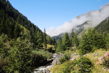 Fototapeta na wymiar The mountain river Untertal valley in Styria, Austria
