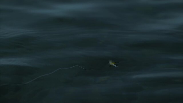 Fly fishing fly floating in the water and waiting for fish, slow motion