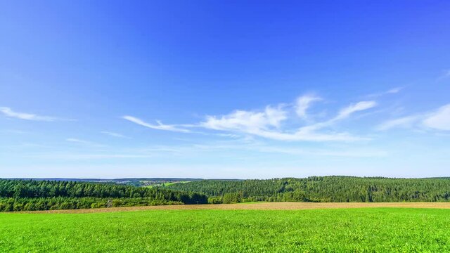 Green grassland in the Black Forest area, cirrus clouds in blue sky