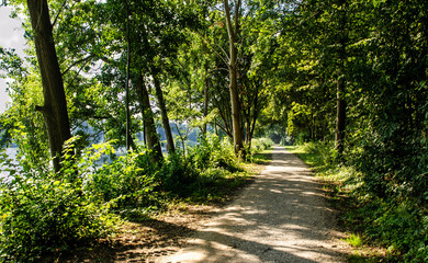 Netherlands, Goes. Lake landscape : the path that runs along the perimeter of the lake is surrounded by the foliage of the trees, you can see the water. Concept of nature and relaxation.