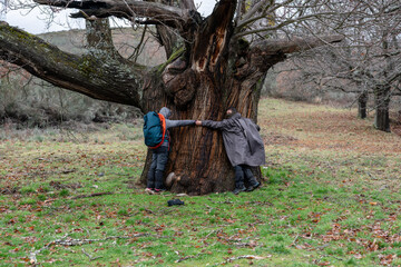 una coppia di giovani ragazzi si tiene per mano cercando di abbracciare uno degli alberi centenari...