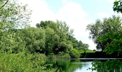 Fototapeta premium Babionka , Figura Jana Nepomucena