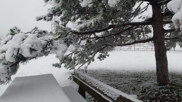 video paesaggio innevato