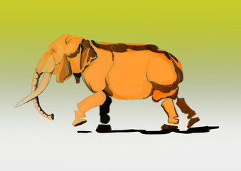 illustration of an elephant