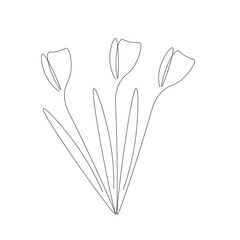 Tulip flower silhouette line drawing, vector illustration