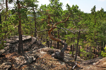 National Park Karkaraly near Karkaralinsk. Karaganda Oblast. Kazakhstan