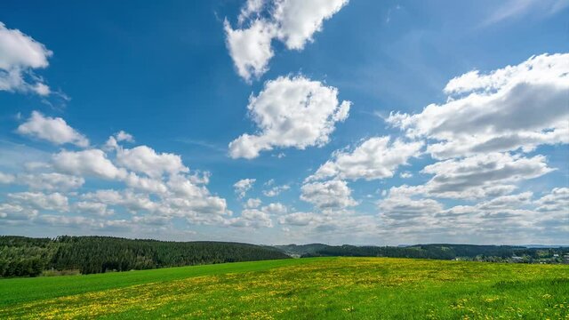 Time-lapse, charming flower field and forest landscape, white clouds floating to distance in blue sky