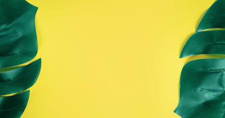 Green Monstera leaf on yellow background. Flat lay, top view texture. Leaf texture banner with copy space.