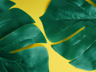 Fototapeta na wymiar Green Monstera leaf on yellow background. Flat lay, top view texture. Leaf texture background with copy space.