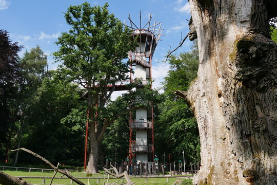 Ivenacker Eichen und Wildpark in Mecklenburg-Vorpommern