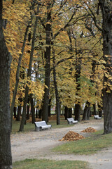 Herbst im Schlosspark Kadriorg bei Tallinn