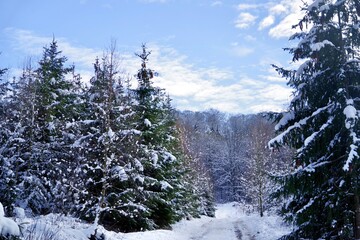 Winter 