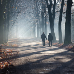 couple walks in beautiful sunny winter forest near utrecht in the netherlands