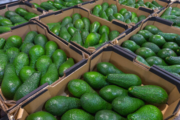Fresh avocados on the vegetable market top view. Healthy food concept.