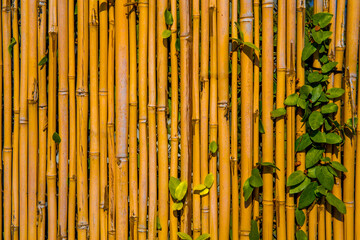 background of leaves, trellises and branches