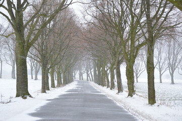 road in the snow