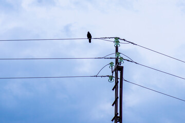 electric pole with wires