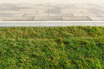 The green lawn is separated from the sidewalk by a concrete curb.